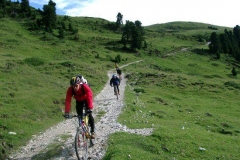 2002_transalp_07180015