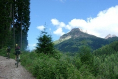 2002_transalp_07180047