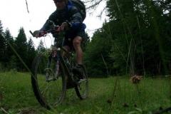 2002_transalp_07190018