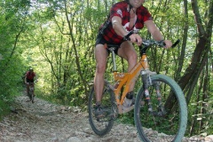 2002_transalp_07200058