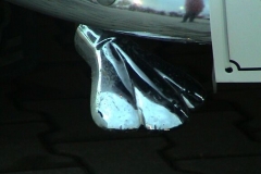 2003_sternfahrt_2003_sternfahrt_benze_084