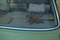 2003_sternfahrt_2003_sternfahrt_benze_094