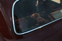 2003_sternfahrt_2003_sternfahrt_benze_095