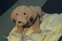 2003_sternfahrt_2003_sternfahrt_benze_099