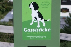 2004_transalp_pict1994