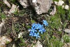 2004_transalp_pict2021