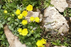 2004_transalp_pict2022