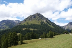 2004_transalp_pict2089