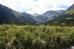 2004_transalp_pict2098